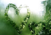 赛前速览：NBA常规赛次回合圣安东尼奥马刺对阵辽宁男篮，三大看点值得期待的简单介绍